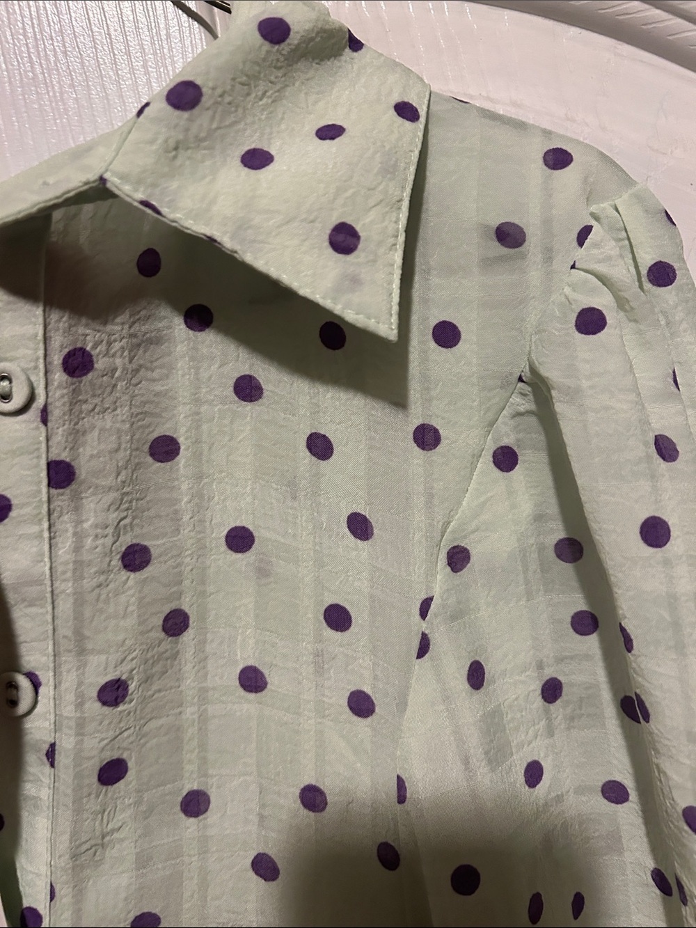 Glam Light Green Polka Dot Button-Up Blouse with Purple Dots - Picture 8 of 8